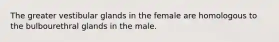 The greater vestibular glands in the female are homologous to the bulbourethral glands in the male.