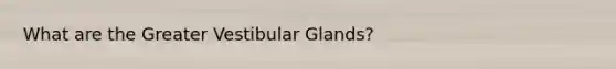 What are the Greater Vestibular Glands?