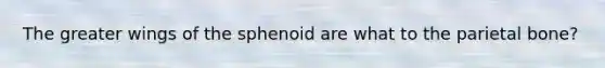 The greater wings of the sphenoid are what to the parietal bone?