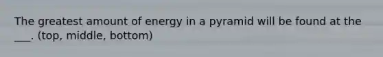 The greatest amount of energy in a pyramid will be found at the ___. (top, middle, bottom)