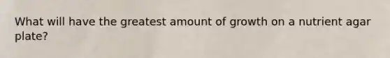 What will have the greatest amount of growth on a nutrient agar plate?