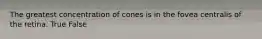 The greatest concentration of cones is in the fovea centralis of the retina. True False