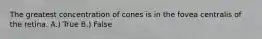 The greatest concentration of cones is in the fovea centralis of the retina. A.) True B.) False