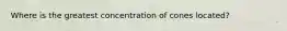Where is the greatest concentration of cones located?