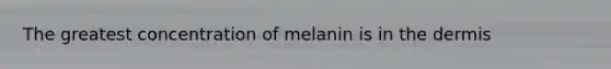 The greatest concentration of melanin is in <a href='https://www.questionai.com/knowledge/kEsXbG6AwS-the-dermis' class='anchor-knowledge'>the dermis</a>