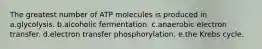 The greatest number of ATP molecules is produced in a.glycolysis. b.alcoholic fermentation. c.anaerobic electron transfer. d.electron transfer phosphorylation. e.the Krebs cycle.