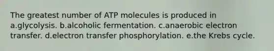 The greatest number of ATP molecules is produced in a.glycolysis. b.alcoholic fermentation. c.anaerobic electron transfer. d.electron transfer phosphorylation. e.the Krebs cycle.