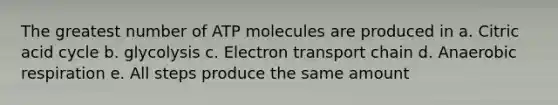 The greatest number of ATP molecules are produced in a. Citric acid cycle b. glycolysis c. Electron transport chain d. Anaerobic respiration e. All steps produce the same amount