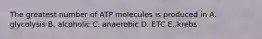 The greatest number of ATP molecules is produced in A. glycolysis B. alcoholic C. anaerobic D. ETC E. krebs