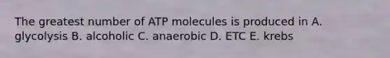 The greatest number of ATP molecules is produced in A. glycolysis B. alcoholic C. anaerobic D. ETC E. krebs