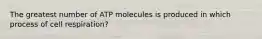 The greatest number of ATP molecules is produced in which process of cell respiration?