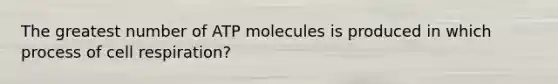 The greatest number of ATP molecules is produced in which process of cell respiration?