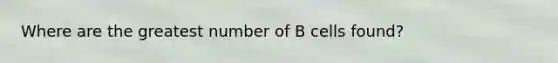 Where are the greatest number of B cells found?