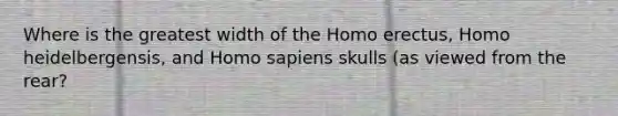 Where is the greatest width of the <a href='https://www.questionai.com/knowledge/kI1ONx7LAC-homo-erectus' class='anchor-knowledge'>homo erectus</a>, Homo heidelbergensis, and <a href='https://www.questionai.com/knowledge/k9aqcXDhxN-homo-sapiens' class='anchor-knowledge'>homo sapiens</a> skulls (as viewed from the rear?