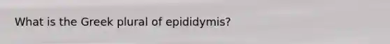 What is the Greek plural of epididymis?