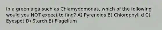 In a green alga such as Chlamydomonas, which of the following would you NOT expect to find? A) Pyrenoids B) Chlorophyll d C) Eyespot D) Starch E) Flagellum