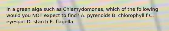 In a green alga such as Chlamydomonas, which of the following would you NOT expect to find? A. pyrenoids B. chlorophyll f C. eyespot D. starch E. flagella