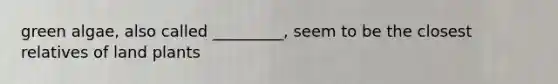 green algae, also called _________, seem to be the closest relatives of land plants