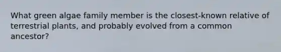What green algae family member is the closest-known relative of terrestrial plants, and probably evolved from a common ancestor?