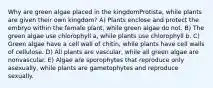 Why are green algae placed in the kingdomProtista, while plants are given their own kingdom? A) Plants enclose and protect the embryo within the female plant, while green algae do not. B) The green algae use chlorophyll a, while plants use chlorophyll b. C) Green algae have a cell wall of chitin, while plants have cell walls of cellulose. D) All plants are vascular, while all green algae are nonvascular. E) Algae are sporophytes that reproduce only asexually, while plants are gametophytes and reproduce sexually.