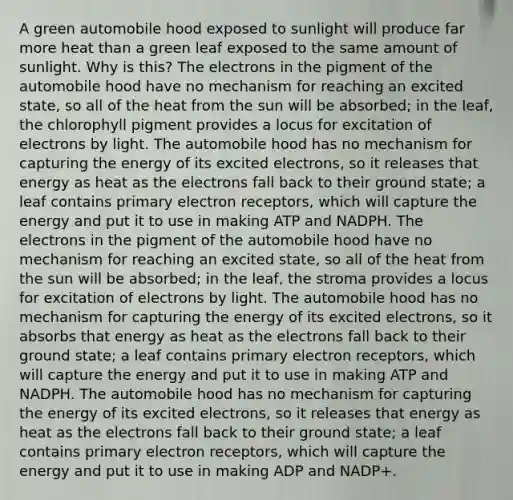 A green automobile hood exposed to sunlight will produce far more heat than a green leaf exposed to the same amount of sunlight. Why is this? The electrons in the pigment of the automobile hood have no mechanism for reaching an excited state, so all of the heat from the sun will be absorbed; in the leaf, the chlorophyll pigment provides a locus for excitation of electrons by light. The automobile hood has no mechanism for capturing the energy of its excited electrons, so it releases that energy as heat as the electrons fall back to their ground state; a leaf contains primary electron receptors, which will capture the energy and put it to use in making ATP and NADPH. The electrons in the pigment of the automobile hood have no mechanism for reaching an excited state, so all of the heat from the sun will be absorbed; in the leaf, the stroma provides a locus for excitation of electrons by light. The automobile hood has no mechanism for capturing the energy of its excited electrons, so it absorbs that energy as heat as the electrons fall back to their ground state; a leaf contains primary electron receptors, which will capture the energy and put it to use in making ATP and NADPH. The automobile hood has no mechanism for capturing the energy of its excited electrons, so it releases that energy as heat as the electrons fall back to their ground state; a leaf contains primary electron receptors, which will capture the energy and put it to use in making ADP and NADP+.