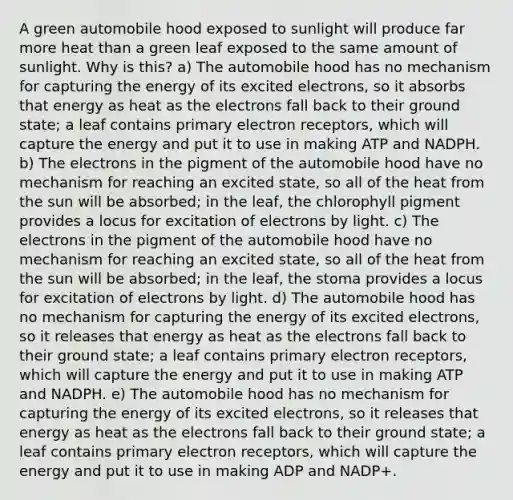 A green automobile hood exposed to sunlight will produce far more heat than a green leaf exposed to the same amount of sunlight. Why is this? a) The automobile hood has no mechanism for capturing the energy of its excited electrons, so it absorbs that energy as heat as the electrons fall back to their ground state; a leaf contains primary electron receptors, which will capture the energy and put it to use in making ATP and NADPH. b) The electrons in the pigment of the automobile hood have no mechanism for reaching an excited state, so all of the heat from the sun will be absorbed; in the leaf, the chlorophyll pigment provides a locus for excitation of electrons by light. c) The electrons in the pigment of the automobile hood have no mechanism for reaching an excited state, so all of the heat from the sun will be absorbed; in the leaf, the stoma provides a locus for excitation of electrons by light. d) The automobile hood has no mechanism for capturing the energy of its excited electrons, so it releases that energy as heat as the electrons fall back to their ground state; a leaf contains primary electron receptors, which will capture the energy and put it to use in making ATP and NADPH. e) The automobile hood has no mechanism for capturing the energy of its excited electrons, so it releases that energy as heat as the electrons fall back to their ground state; a leaf contains primary electron receptors, which will capture the energy and put it to use in making ADP and NADP+.