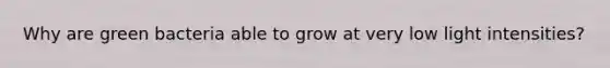 Why are green bacteria able to grow at very low light intensities?