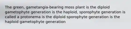 The green, gametangia-bearing moss plant is the diploid gametophyte generation is the haploid, sporophyte generation is called a protonema is the diploid sporophyte generation is the haploid gametophyte generation