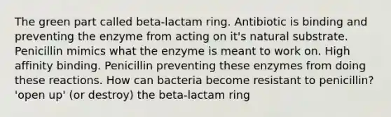 The green part called beta-lactam ring. Antibiotic is binding and preventing the enzyme from acting on it's natural substrate. Penicillin mimics what the enzyme is meant to work on. High affinity binding. Penicillin preventing these enzymes from doing these reactions. How can bacteria become resistant to penicillin? 'open up' (or destroy) the beta-lactam ring