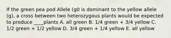 If the green pea pod Allele (g0 is dominant to the yellow allele (g), a cross between two heterozygous plants would be expected to produce ____plants A. all green B. 1/4 green + 3/4 yellow C. 1/2 green + 1/2 yellow D. 3/4 green + 1/4 yellow E. all yellow