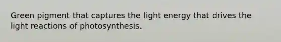 Green pigment that captures the light energy that drives the light reactions of photosynthesis.