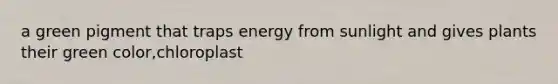 a green pigment that traps energy from sunlight and gives plants their green color,chloroplast