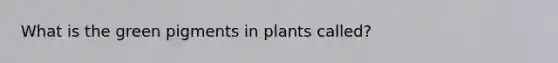 What is the green pigments in plants called?