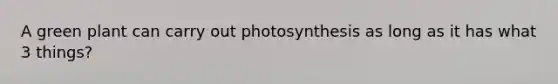 A green plant can carry out photosynthesis as long as it has what 3 things?