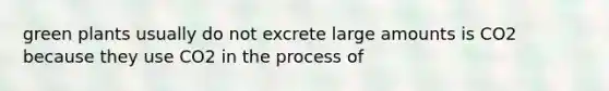 green plants usually do not excrete large amounts is CO2 because they use CO2 in the process of