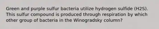 Green and purple sulfur bacteria utilize hydrogen sulfide (H2S). This sulfur compound is produced through respiration by which other group of bacteria in the Winogradsky column?