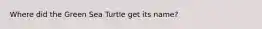 Where did the Green Sea Turtle get its name?