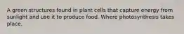 A green structures found in plant cells that capture energy from sunlight and use it to produce food. Where photosynthesis takes place.