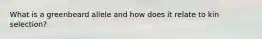 What is a greenbeard allele and how does it relate to kin selection?