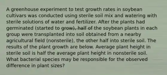 A greenhouse experiment to test growth rates in soybean cultivars was conducted using sterile soil mix and watering with sterile solutions of water and fertilizer. After the plants had germinated (started to grow), half of the soybean plants in each group were transplanted into soil obtained from a nearby agricultural field (nonsterile), the other half into sterile soil. The results of the plant growth are below. Average plant height in sterile soil is half the average plant height in nonsterile soil. What bacterial species may be responsible for the observed difference in plant sizes?