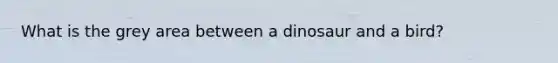 What is the grey area between a dinosaur and a bird?