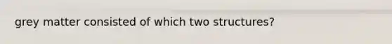 grey matter consisted of which two structures?