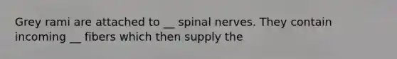 Grey rami are attached to __ spinal nerves. They contain incoming __ fibers which then supply the