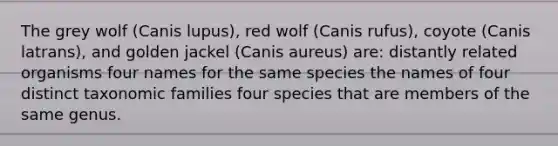 The grey wolf (Canis lupus), red wolf (Canis rufus), coyote (Canis latrans), and golden jackel (Canis aureus) are: distantly related organisms four names for the same species the names of four distinct taxonomic families four species that are members of the same genus.