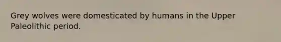Grey wolves were domesticated by humans in the Upper Paleolithic period.