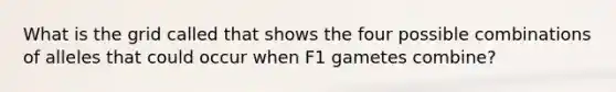 What is the grid called that shows the four possible combinations of alleles that could occur when F1 gametes combine?