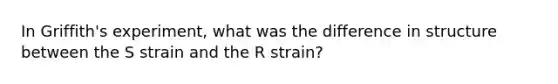 In Griffith's experiment, what was the difference in structure between the S strain and the R strain?