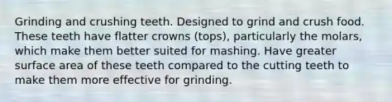 Grinding and crushing teeth. Designed to grind and crush food. These teeth have flatter crowns (tops), particularly the molars, which make them better suited for mashing. Have greater surface area of these teeth compared to the cutting teeth to make them more effective for grinding.