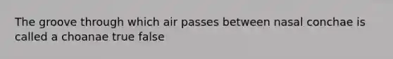 The groove through which air passes between nasal conchae is called a choanae true false