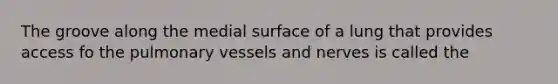 The groove along the medial surface of a lung that provides access fo the pulmonary vessels and nerves is called the